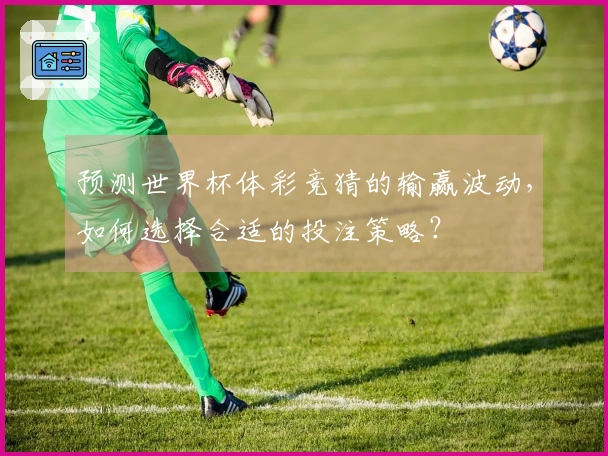 预测世界杯体彩竞猜的输赢波动，如何选择合适的投注策略？