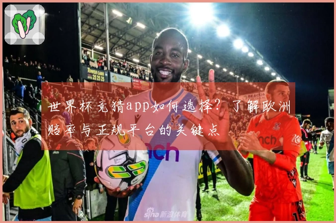 世界杯竞猜app如何选择？了解欧洲赔率与正规平台的关键点