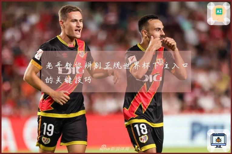 老手教你辨别正规世界杯下注入口的关键技巧