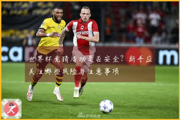 世界杯竞猜活动是否安全?新手应关注哪些风险与注意事项