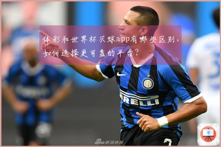 体彩和世界杯买球app有哪些区别，如何选择更可靠的平台？