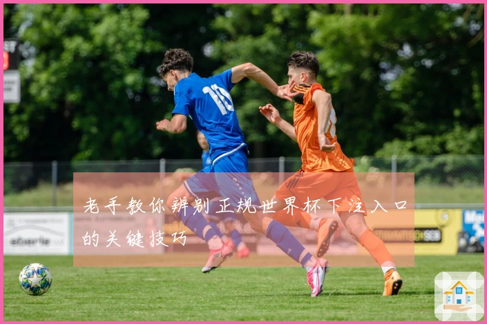老手教你辨别正规世界杯下注入口的关键技巧