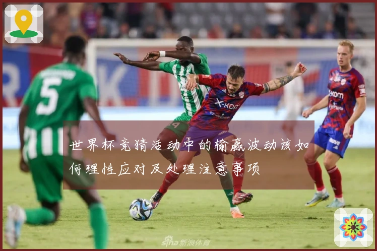世界杯竞猜活动中的输赢波动该如何理性应对及处理注意事项