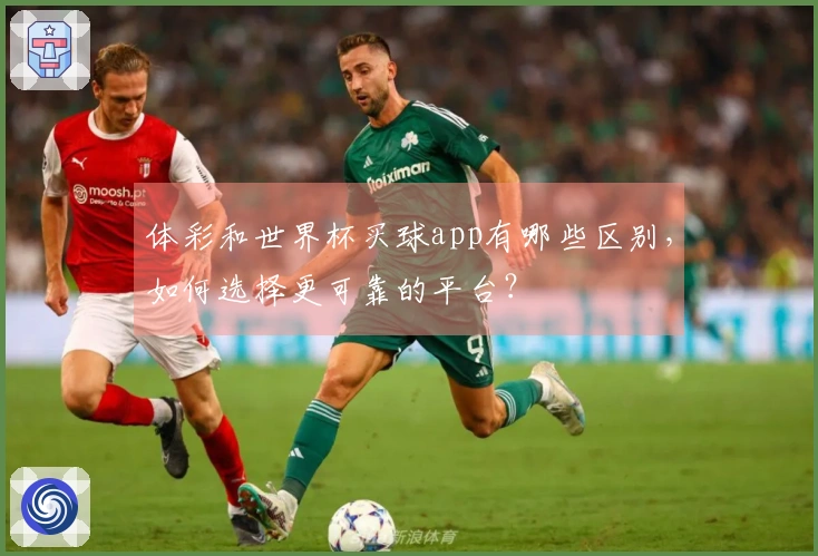 体彩和世界杯买球app有哪些区别，如何选择更可靠的平台？