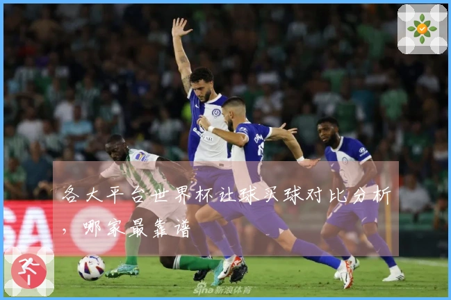 各大平台世界杯让球买球对比分析，哪家最靠谱