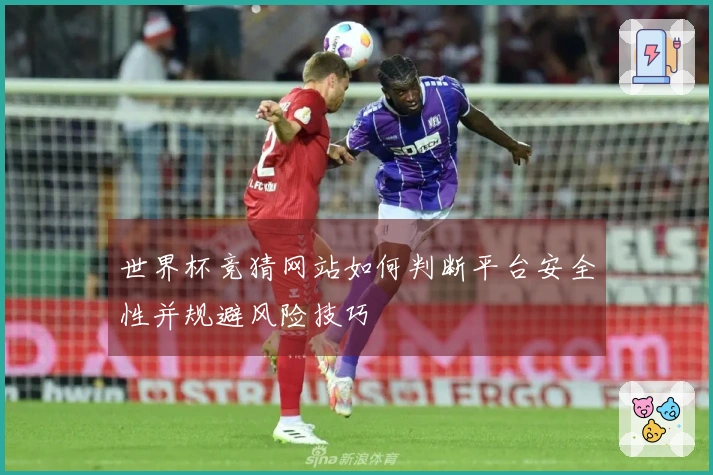 世界杯竞猜网站如何判断平台安全性并规避风险技巧
