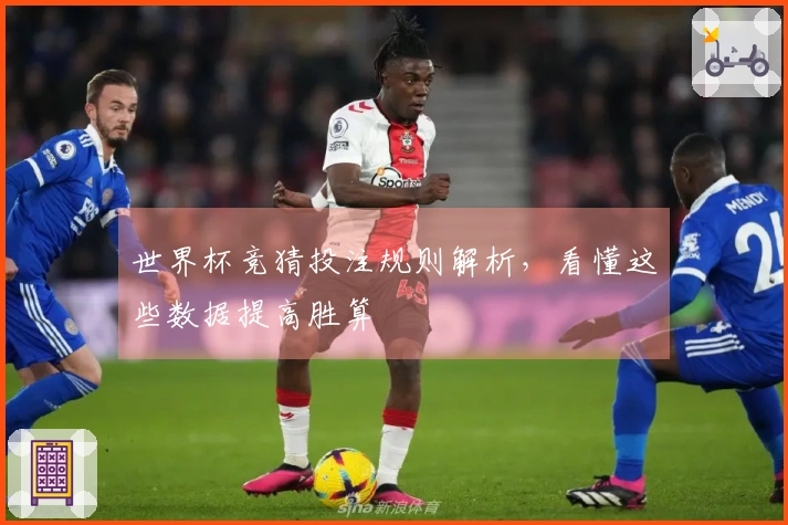 世界杯竞猜投注规则解析，看懂这些数据提高胜算