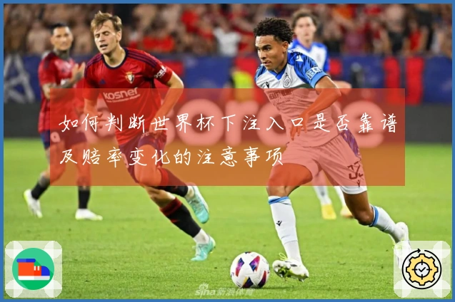 如何判断世界杯下注入口是否靠谱及赔率变化的注意事项