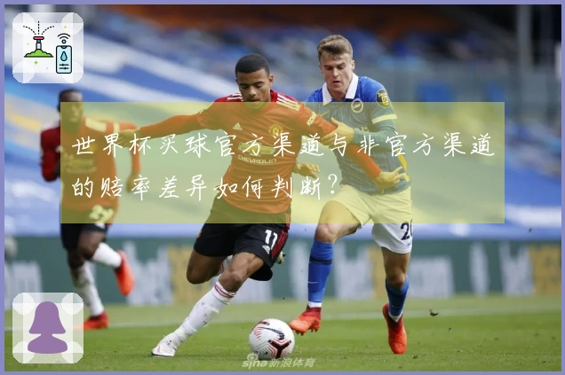 世界杯买球官方渠道与非官方渠道的赔率差异如何判断？