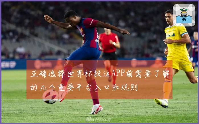 正确选择世界杯投注APP前需要了解的几个重要平台入口和规则