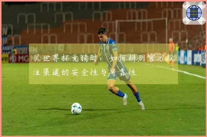 买世界杯竞猜时，如何辨别官方投注渠道的安全性与可靠性