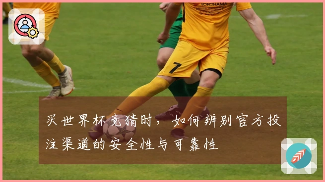 买世界杯竞猜时，如何辨别官方投注渠道的安全性与可靠性